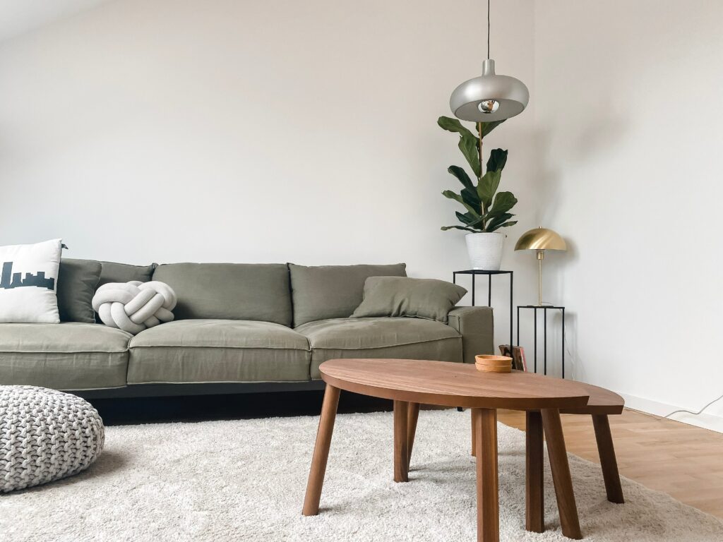 Salon Style Scandinave Moderne photo by katja - unsplash